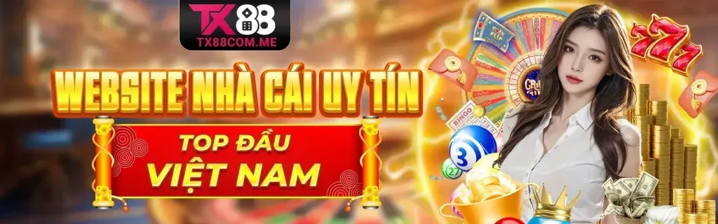 Cách SC88 sử dụng dữ liệu người dùng để cải thiện dịch vụ