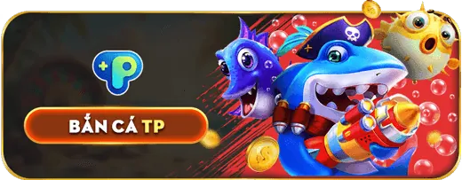Tối ưu hóa trải nghiệm SC88
